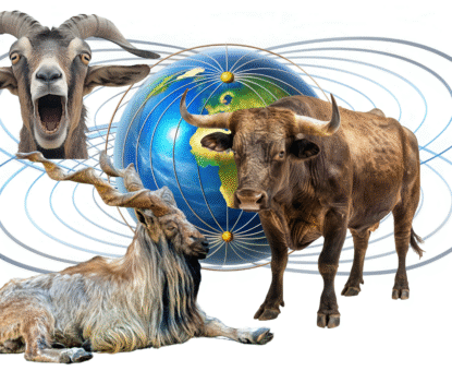 Animals and Geomagnetic lines