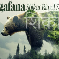 Bear Cover Image_World Resources WTR LLC Presents_ Megafana_Shikar Ritual Series_Watha_Yoga World Resources WTR LLC Presents_ Megafana_Shikar Ritual Series_Watha_Yoga_"Surreal artwork of a bear integrated with forest and mountain landscape, representing harmony between wildlife and natural ecosystems; overlaid with the words 'Megafana Shikar Ritual Series' and the Hindi word for 'Shikar'."