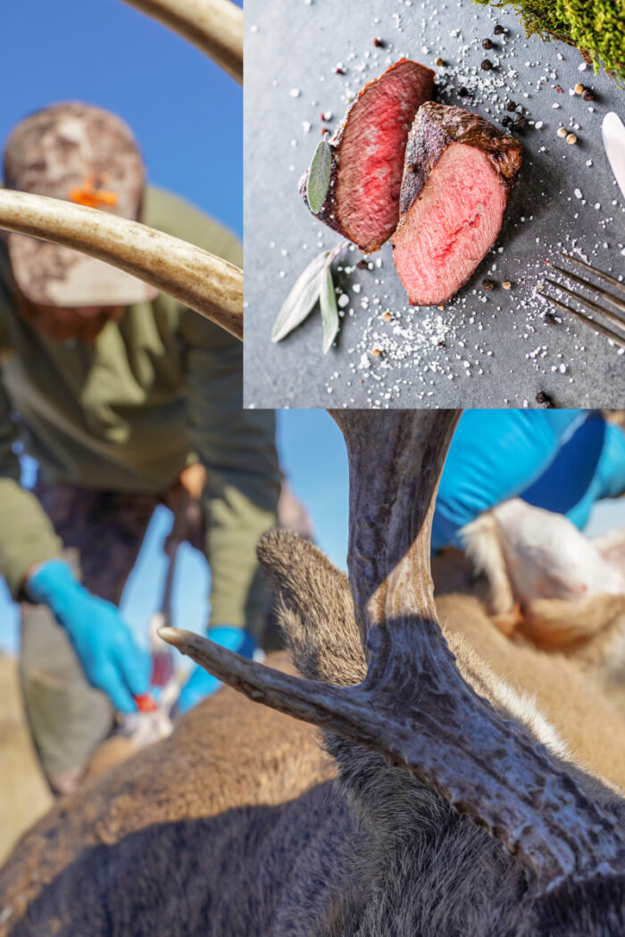World Resources WTR_Megafana_Shikar Watha Series World Resources WTR LLC_MegaFana_Shikar_Ritual_Watha Series_"Split image showing a hunter field dressing a deer with visible antlers, and a close-up of sliced venison steak on a stone plate garnished with herbs and salt—illustrating the full cycle from harvest to meal."