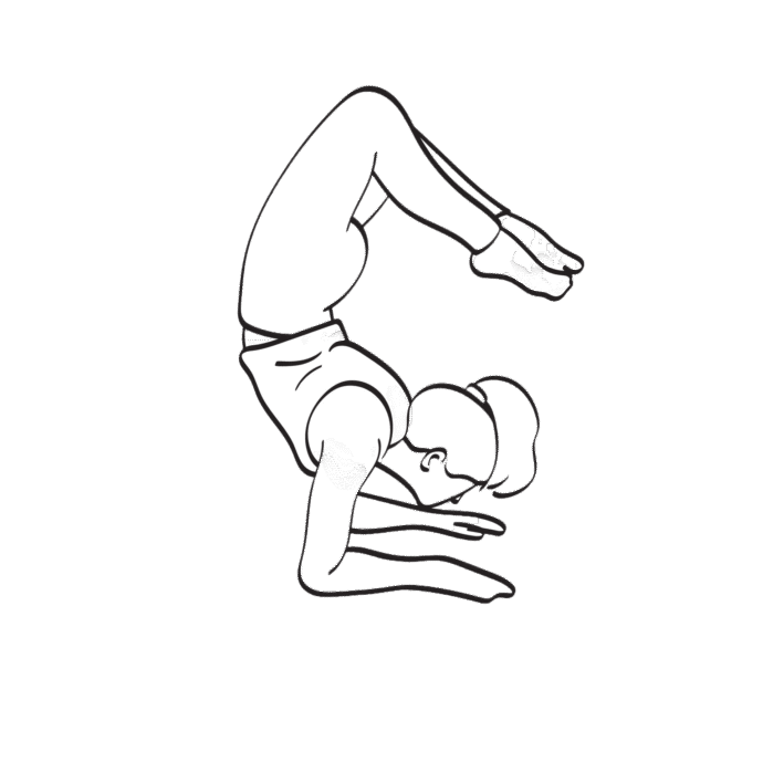 Stylized line art illustration of Monaya M. MaGaurn, associated with Agency World Resources WTR, in a deep yoga backbend balance pose. She supports herself on her forearms while arching her back, with legs bent overhead and feet pointed together. The figure is outlined in white against a textured black background.
