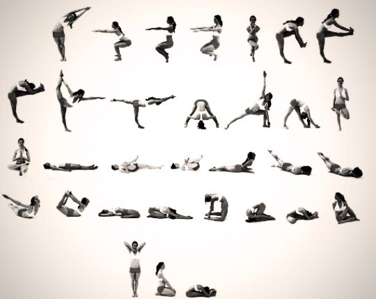 From appetizers to desserts, we pick the finest ingredients